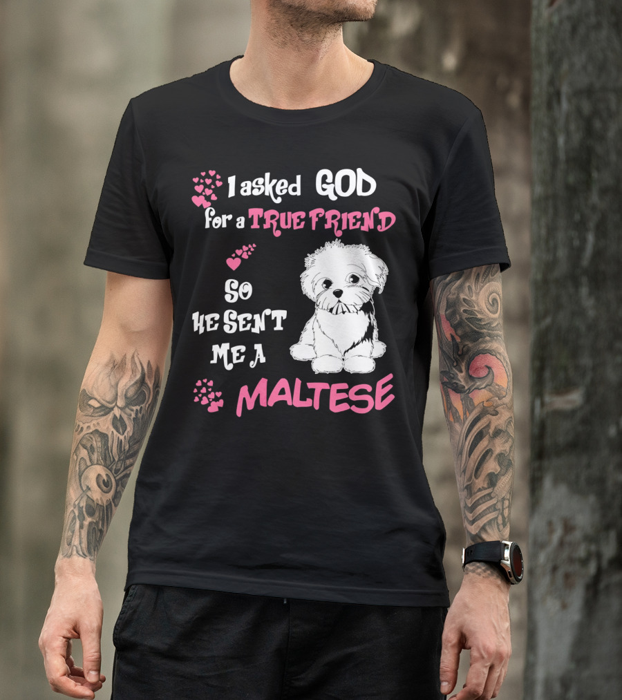 I Asked God For A True Friend So He Sent Me A Maltese T-Shirt