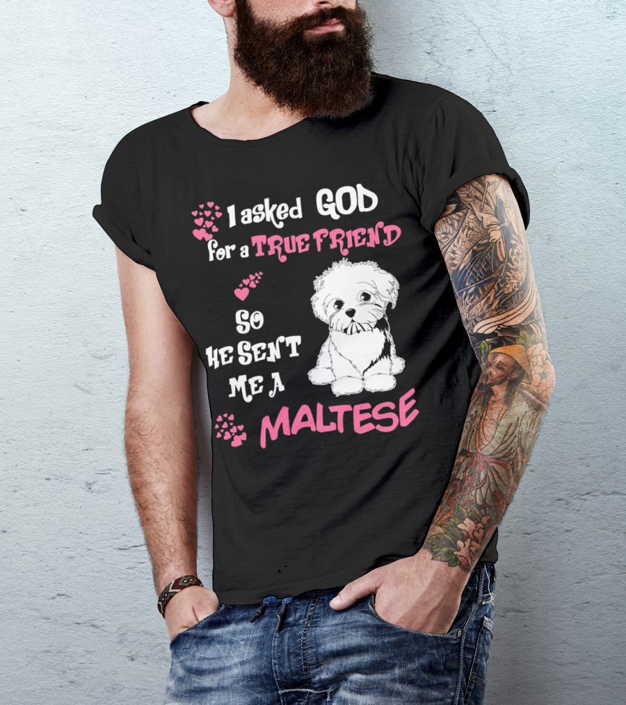 I Asked God For A True Friend So He Sent Me A Maltese T-Shirt