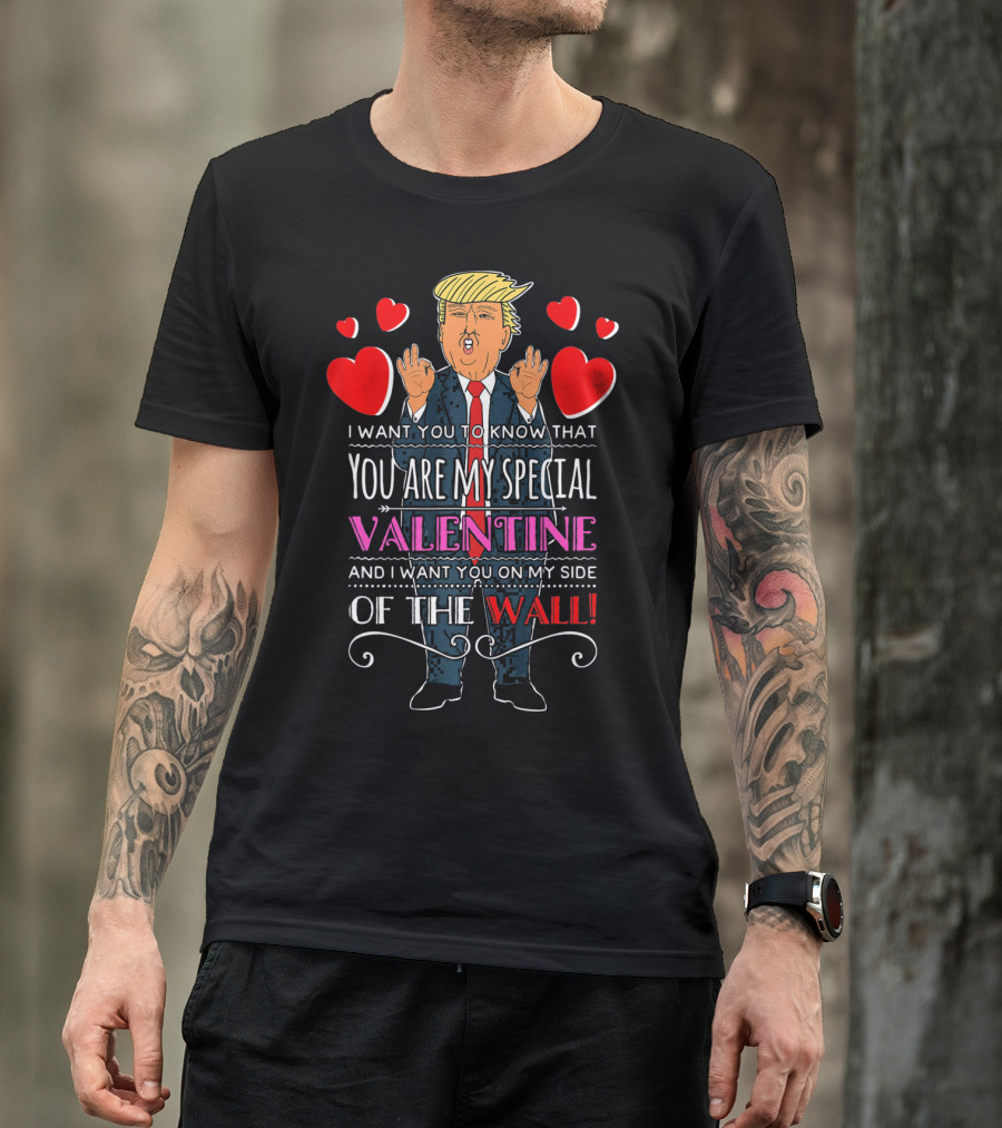 You Are My Special Valentine And I Want You On My Side Of The Wall T-Shirt