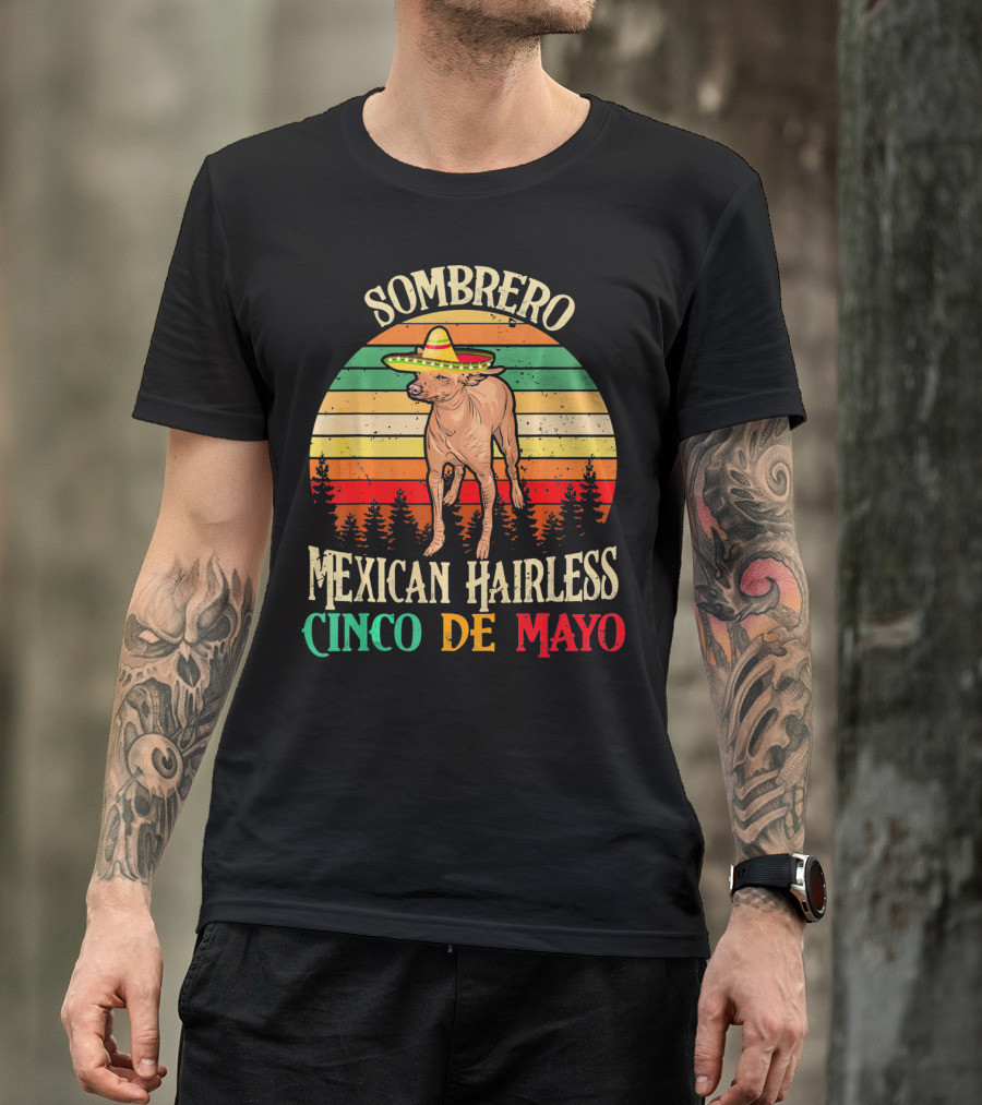 Sombrero Mexican Hairless Cinco De Mayo Vintage Sunset T-Shirt