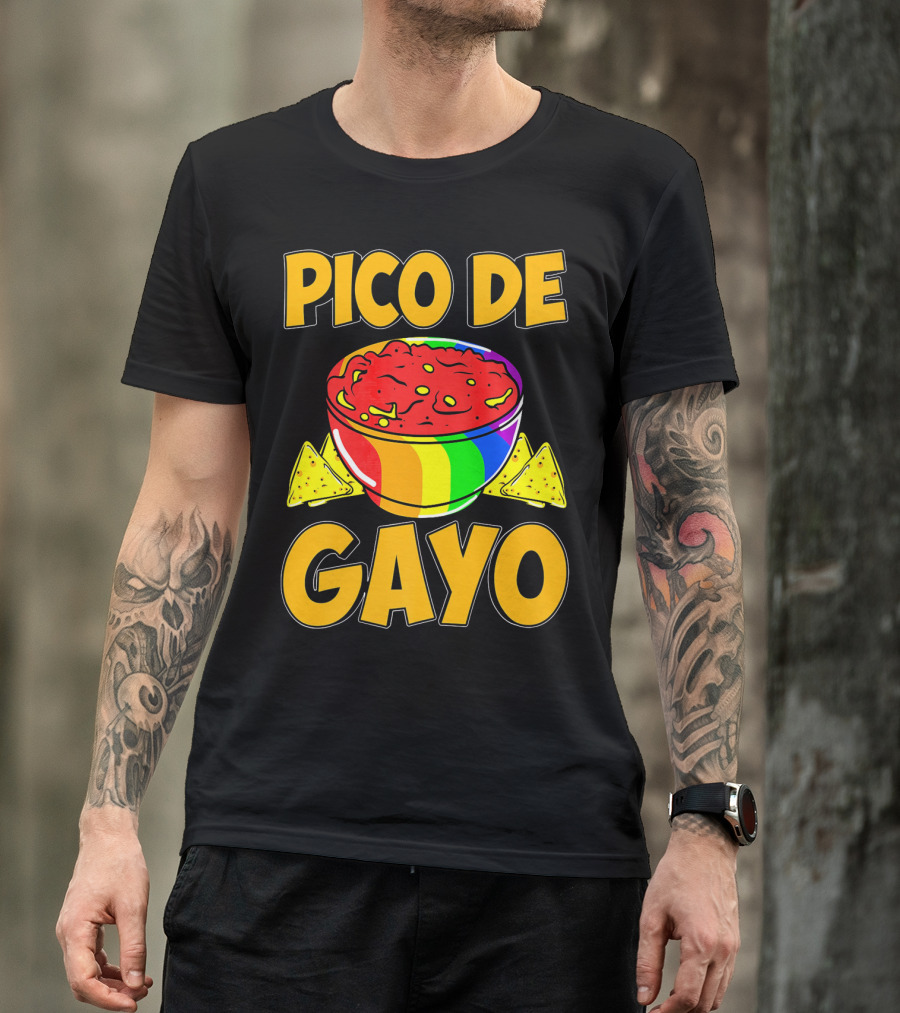 Pico De Gayo Cinco De Mayo Rainbow Salsa Bowl And Tortilla Chips T-Shirt