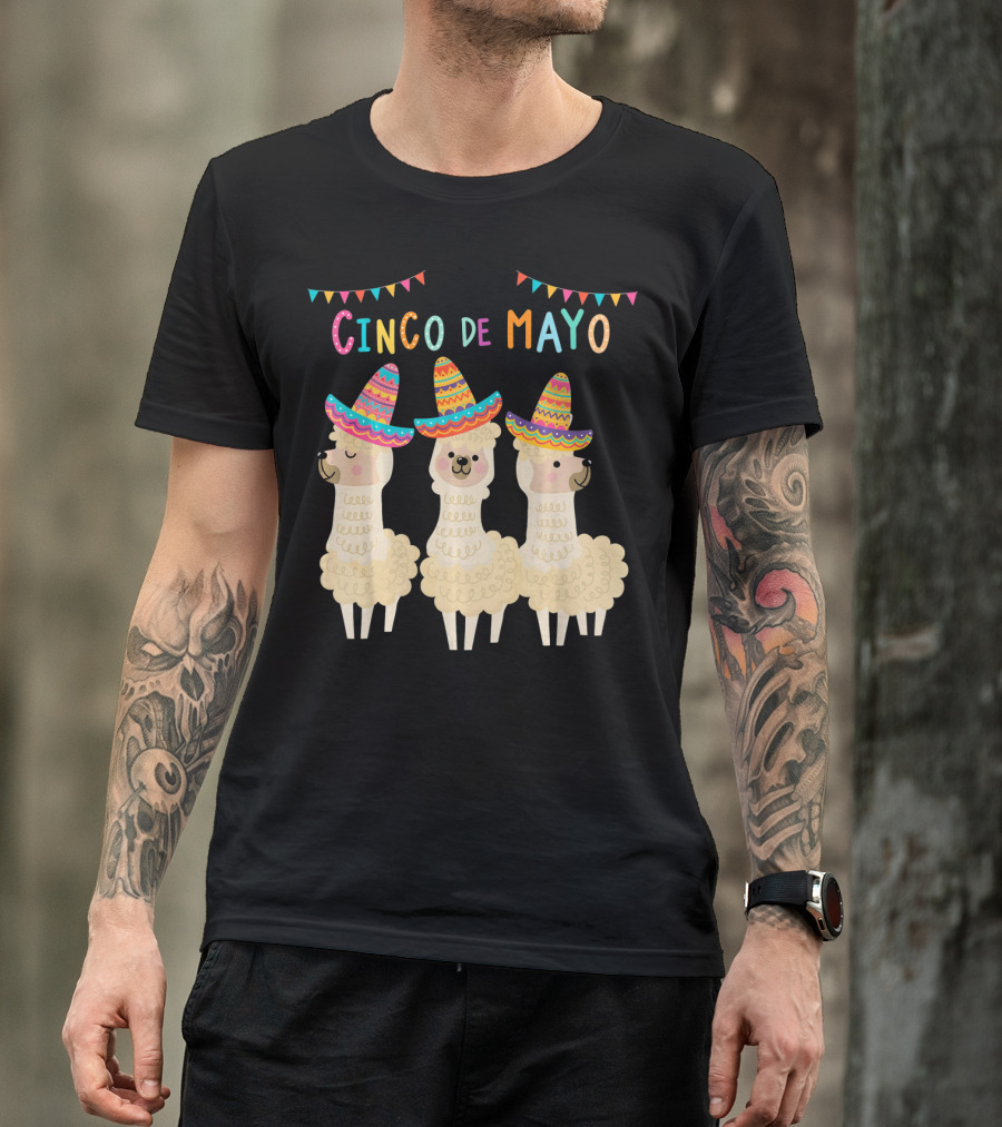 No ProbLlama Cinco De Mayo Llamas In Sombreros T-Shirt