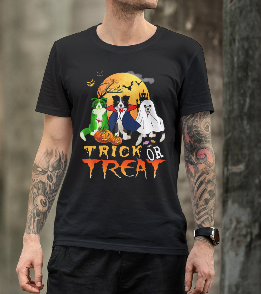 Trick Or Treat Halloween Border Collie Costumes Pumpkins Haunted Moon T-Shirt