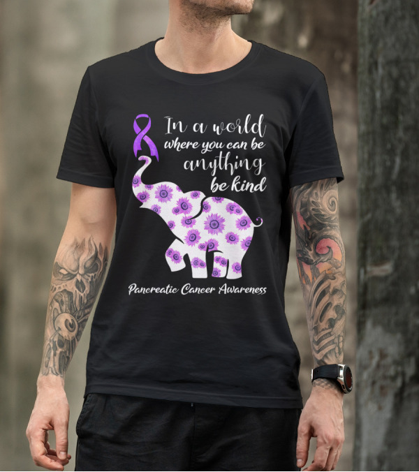 In A World Where You Can Be Anything Be Kind Pancreatic Cancer Awareness T-Shirt