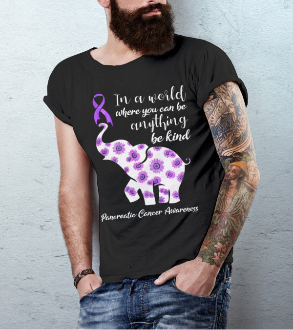 In A World Where You Can Be Anything Be Kind Pancreatic Cancer Awareness T-Shirt