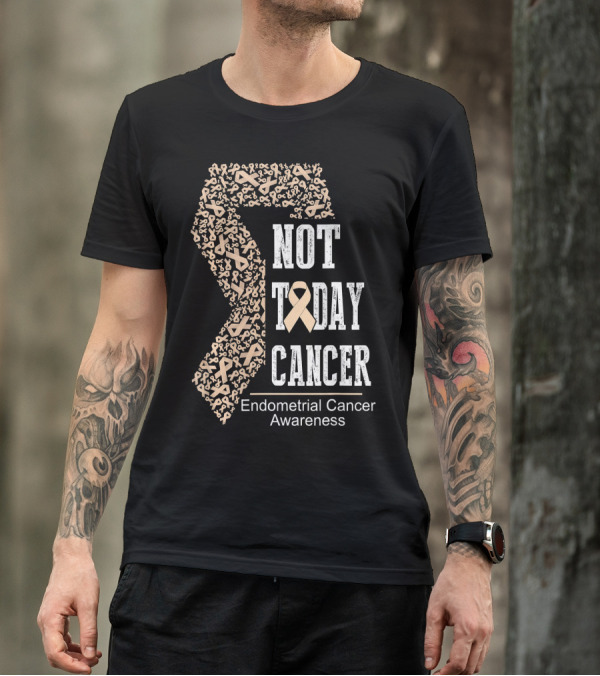 Not Today Cancer Endometrial Cancer Awareness T-Shirt