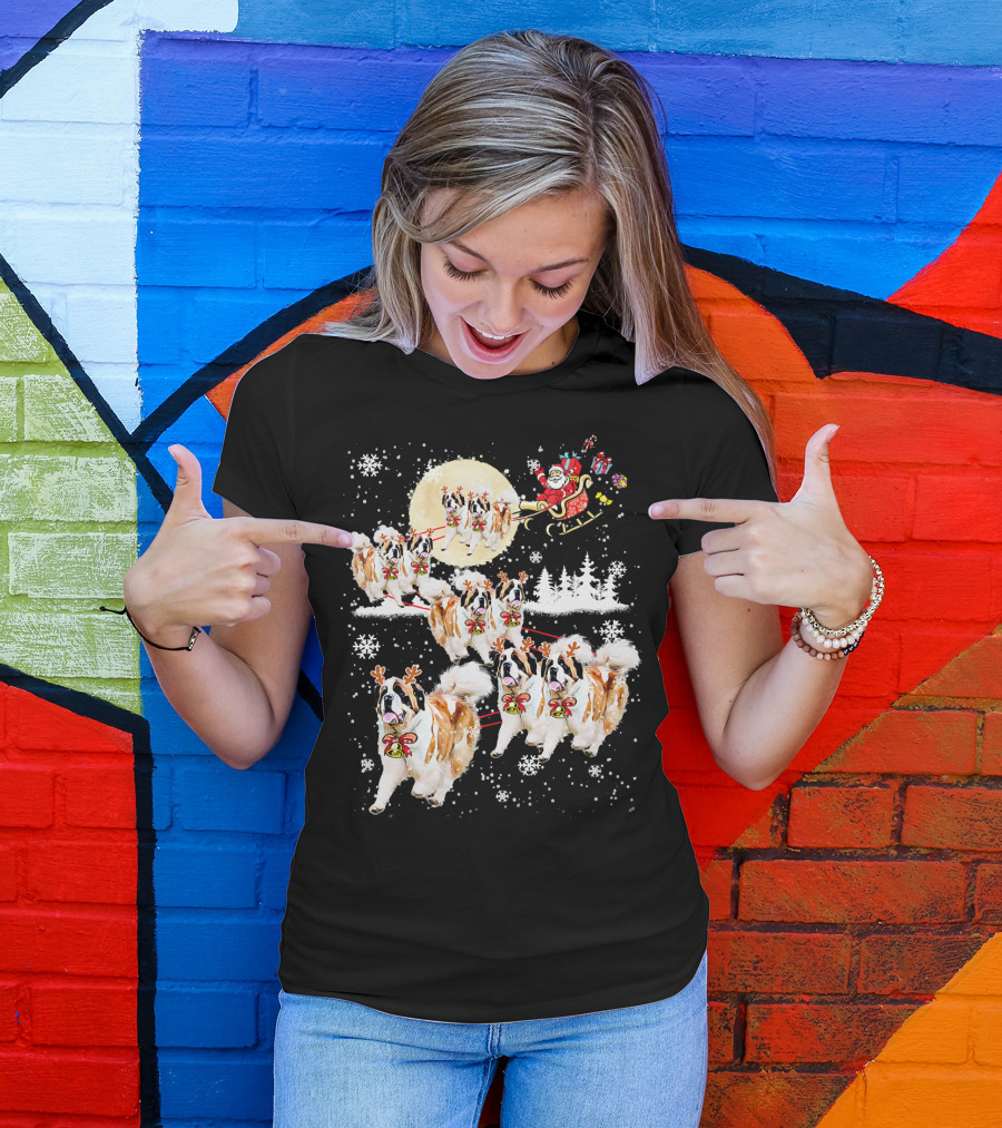 St Bernard Reindeer Christmas Santa Sleigh Nice Dog T-Shirt