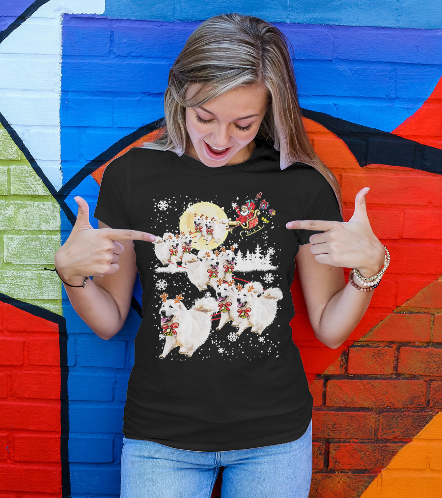 Great Pyrenees Reindeer Santa Christmas With Sleigh And Snowflakes T-Shirt