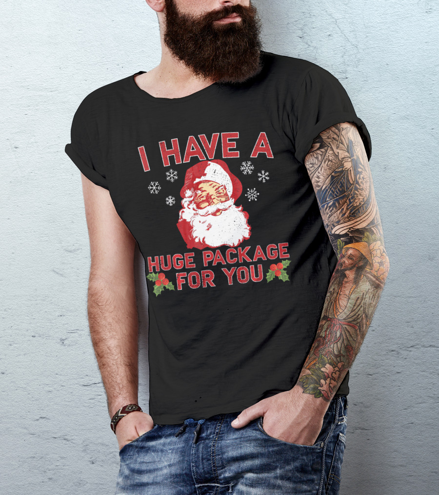 I Have A Huge Package For You Santa Christmas Snowflakes T-Shirt