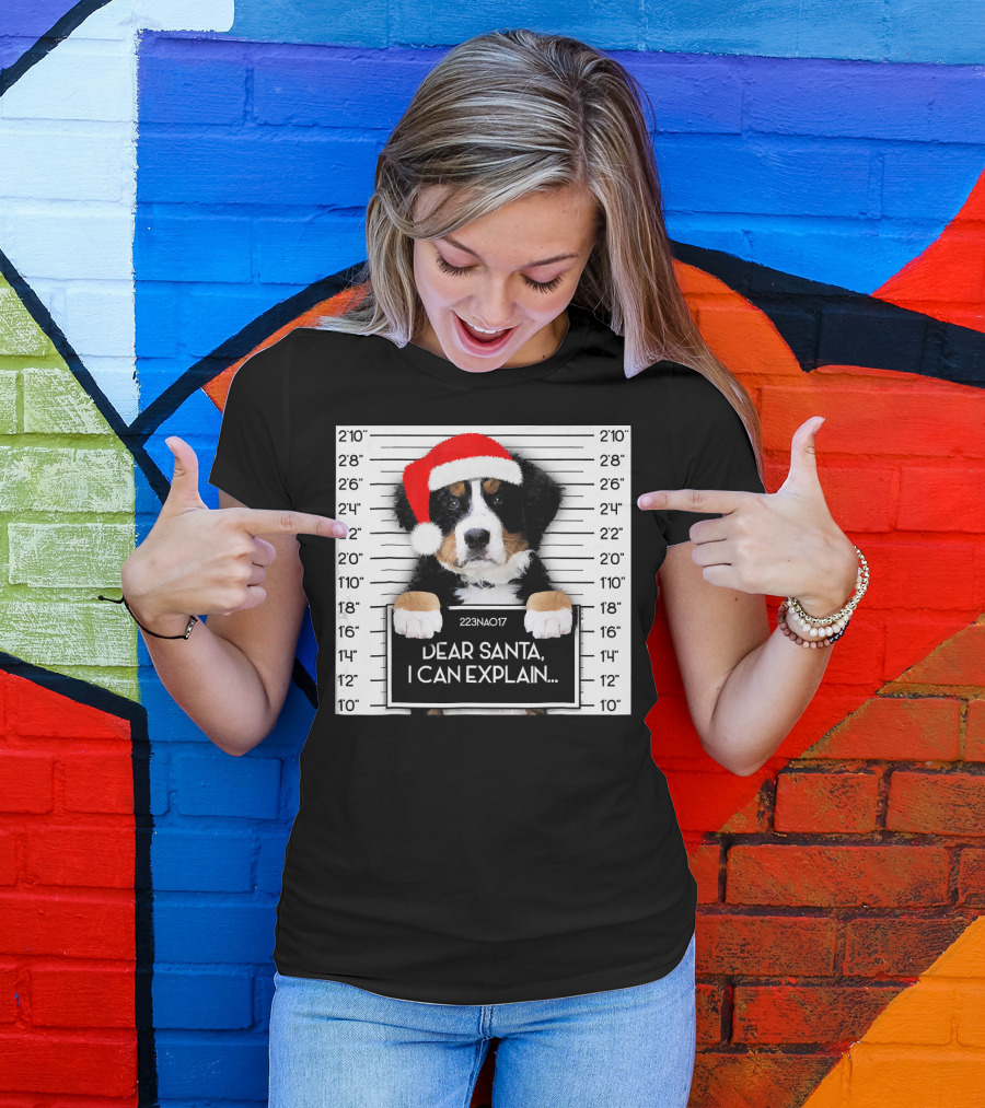 Xmas Bernese Mountain Dog Lover Santa Hat Dear Santa I Can Explain T-Shirt