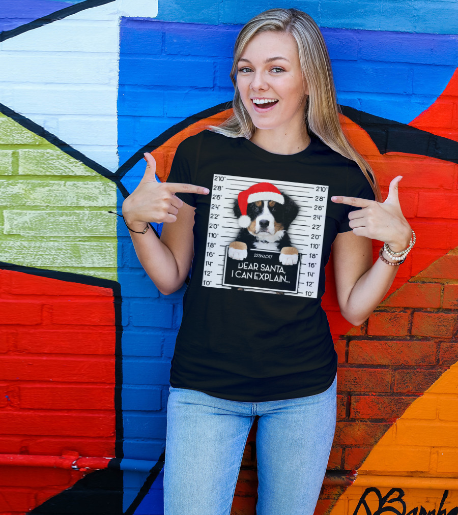 Xmas Bernese Mountain Dog Lover Santa Hat Dear Santa I Can Explain T-Shirt