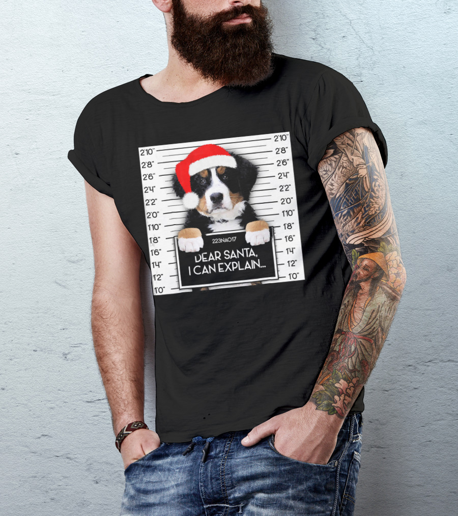 Xmas Bernese Mountain Dog Lover Santa Hat Dear Santa I Can Explain T-Shirt