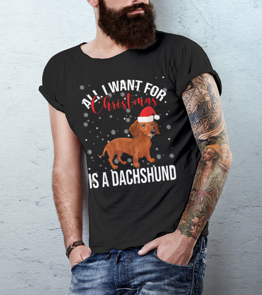 All I Want For Christmas Is A Dachshund Santa Hat Snowflakes T-Shirt