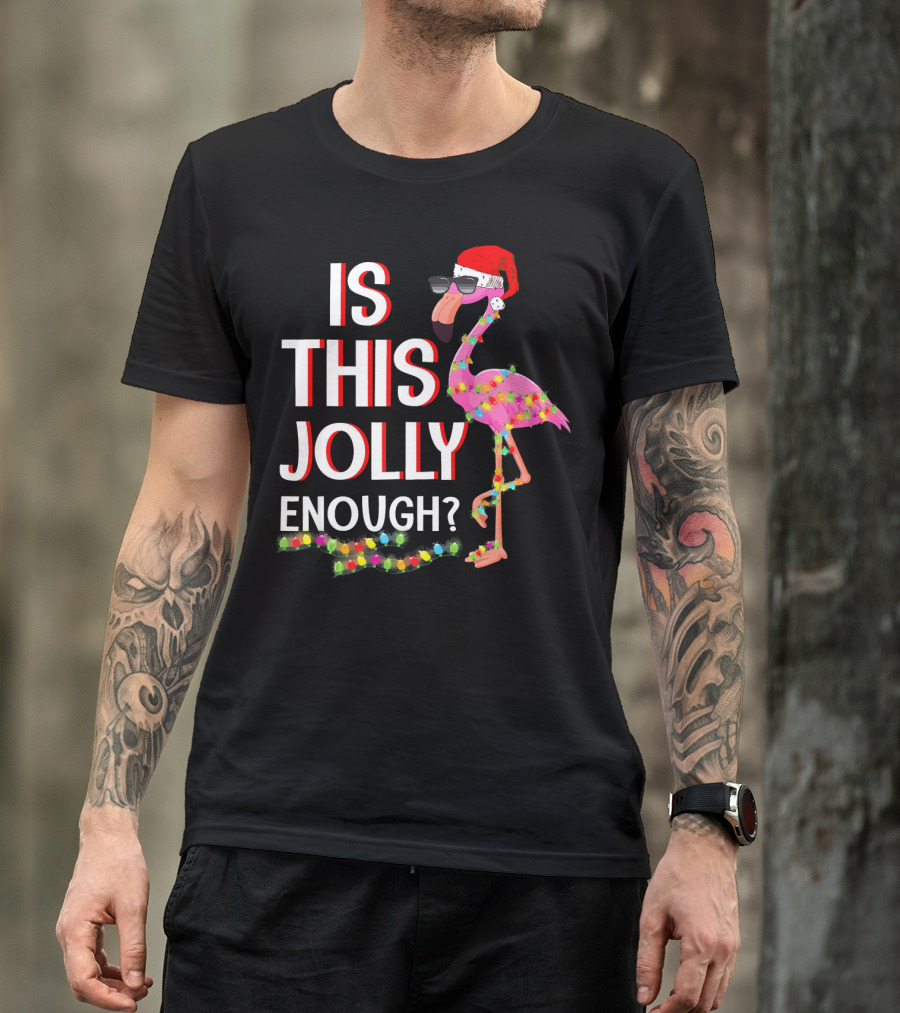 Is This Jolly Enough Flamingo Christmas Lights Santa Hat Sunglasses T-Shirt