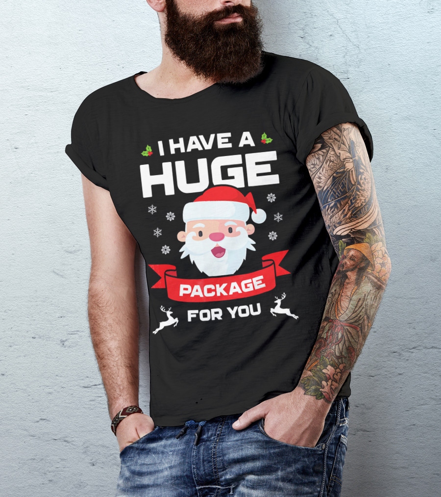 I Have A Huge Package For You Santa Snowflakes Reindeer Christmas T-Shirt