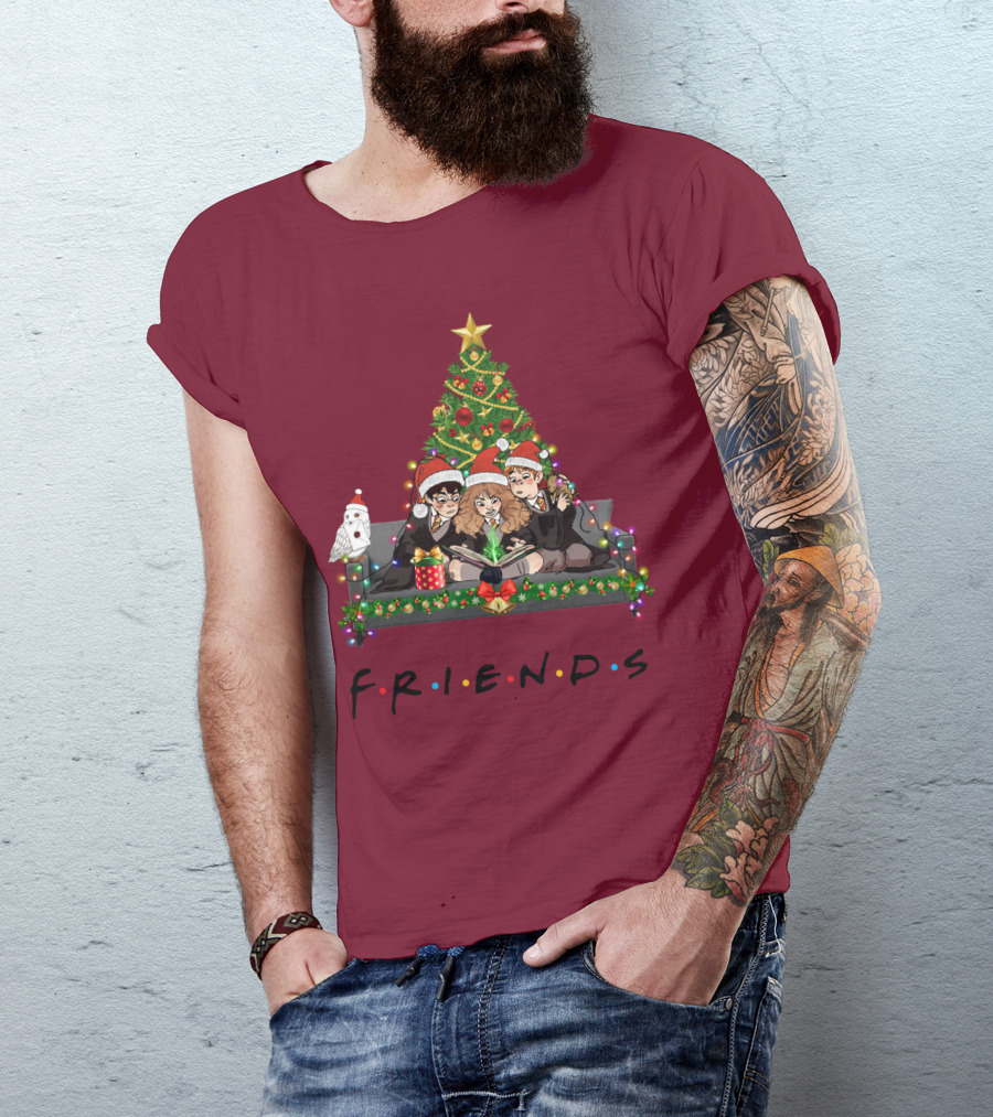 Friends Christmas With Wizard Trio And Owl T-Shirt